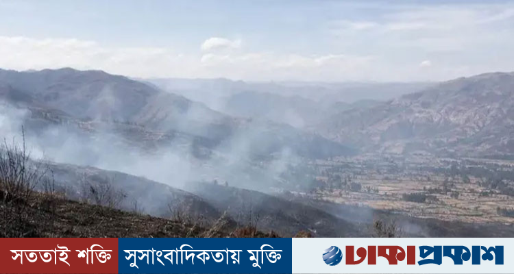এল নিনোর প্রভাবে পেরুতে ভয়াবহ দাবানল, প্রাণ গেল ১২ জনের