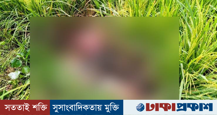 তাজমিনের পর কুমিল্লায় ধানক্ষেত থেকে আরেক মরদেহ উদ্ধার