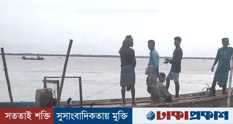 নিষেধাজ্ঞা উপেক্ষা করে পদ্মায় মা ইলিশ শিকার, নদীর পাড়ে জমজমাট বিক্রি