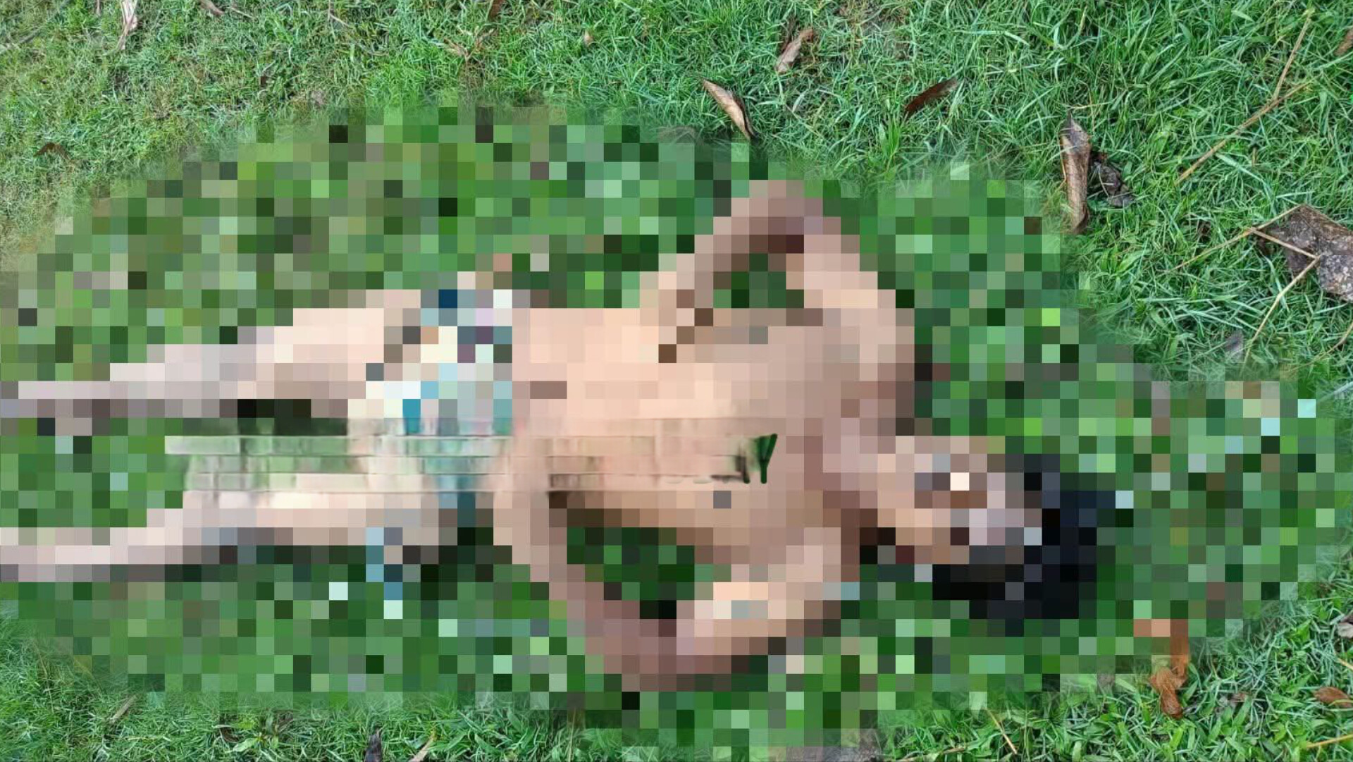 সীতাকুণ্ডে বন্ধ কারখানা থেকে তার চুরি করতে গিয়ে বিদ্যুৎস্পৃষ্টে যুবকের মৃত্যু