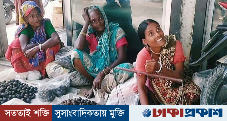 শালুক বিক্রিতেই চলে সংসার, ঘিওর হাটে জীবিকার লড়াই ক্ষুদ্র নৃগোষ্ঠীর নারীদের