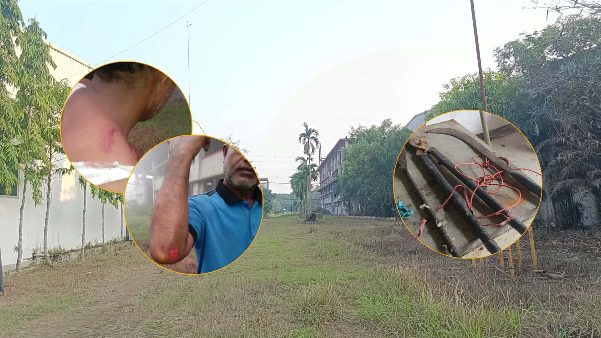 আনোয়ারা সাদ-মুছা ইন্ডাস্ট্রিয়াল পার্কে সশস্ত্র চোর চক্রের হামলা; আহত দুই, আটক চোর