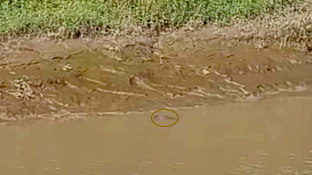 হাটহাজারীতে হালদা নদী থেকে অজ্ঞাত ব্যক্তির মরদেহ উদ্ধার