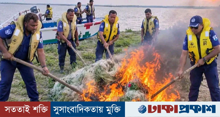 মেঘনায় অভিযান, ৮ হাজার মিটার অবৈধ কারেন্ট জাল পুড়িয়ে ধ্বংস
