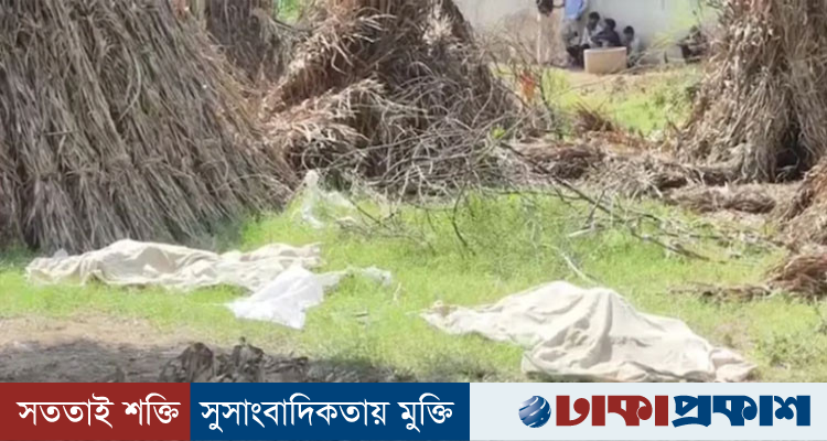 প্রেমিকের আপত্তিতে যমজ দুই ছেলেকে হত্যার অভিযোগ, মা গ্রেপ্তার
