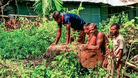 সীতাকুণ্ডে প্রকাশ্যেই বন উজাড়, নীরব রেল ও বন বিভাগ