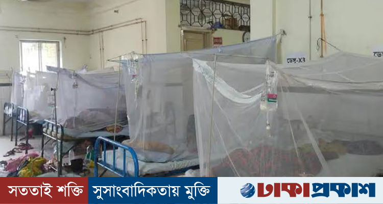 ডেঙ্গুতে আরও ৯ জনের মৃত্যু, এক দিনে হাসপাতালে ভর্তি প্রায় ২ হাজার