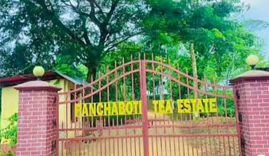 ফটিকছড়িতে চা-বাগানের ৭ লাখ টাকা ছিনতাই, আহত ২