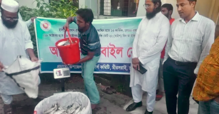মিরসরাইয়ে ৩৯৫ কেজি ইলিশ জব্দ, এতিমখানায় বিতরণ