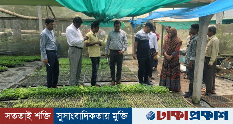 যমুনার চরে ‘পলিসেড হাউসে’ বদলে যাচ্ছে কৃষির চিত্র