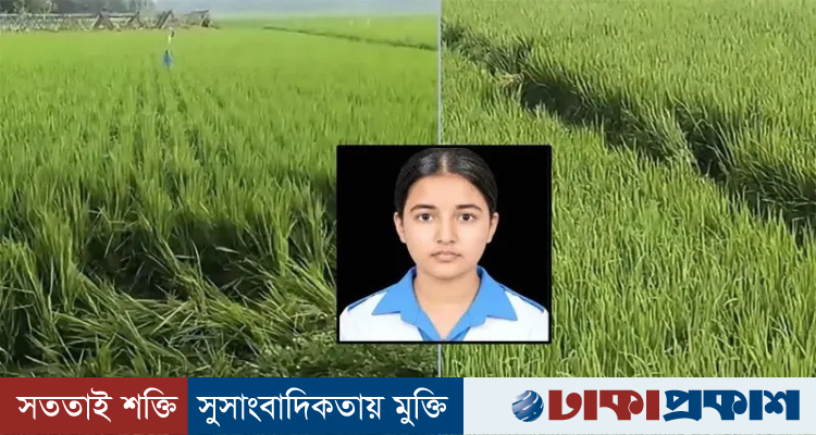 প্রাণ বাঁচাতে একের পর এক ধানক্ষেতে দৌড়েছিল তাজমিন, তবু শেষ রক্ষা হয়নি