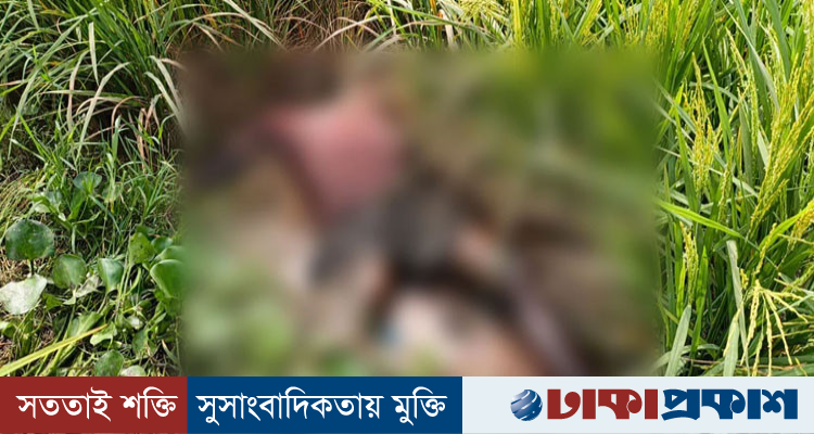 লাকসামে ধানখেত থেকে অটোরিকশাচালকের মরদেহ উদ্ধার ঘিরে রহস্য