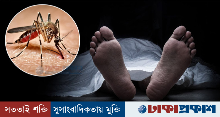 একদিনে ডেঙ্গুতে ৯ জনের মৃত্যু, হাসপাতালে ভর্তি ১ হাজার ৯০২